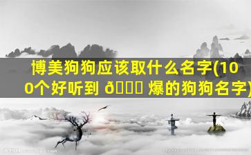 博美狗狗应该取什么名字(100个好听到 🐋 爆的狗狗名字)